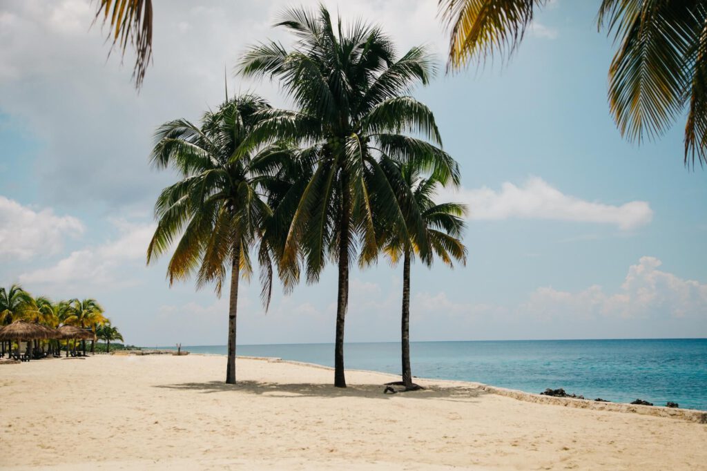 clem-onojeghuo-111588-unsplash-1024x682.jpg